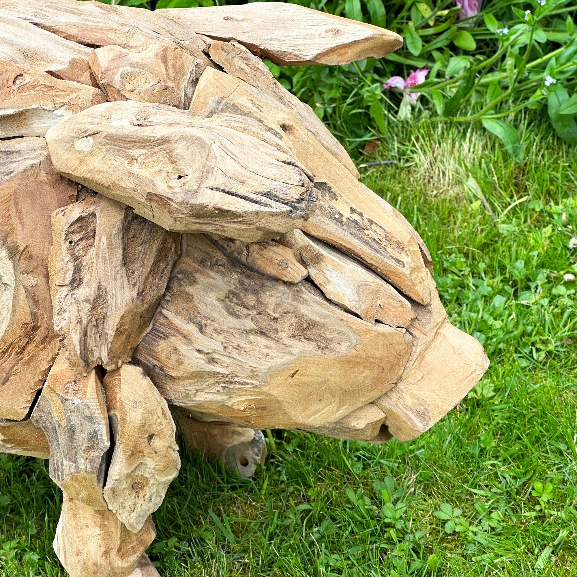 Teak Root Baby Pig Sculpture