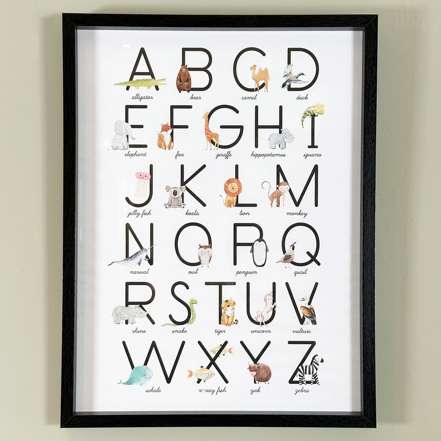 Animal Alphabet Learning Framed Print