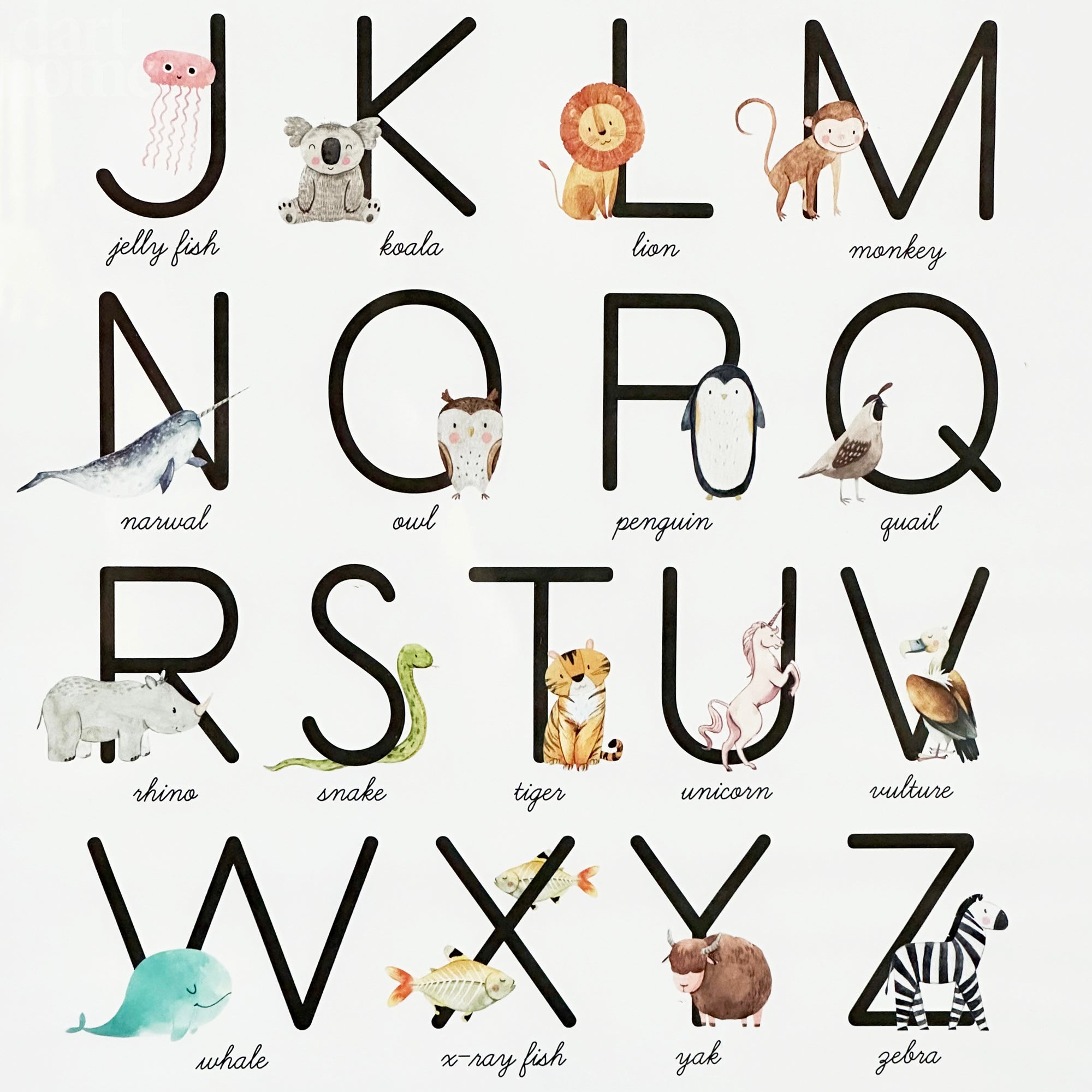 Animal Alphabet Learning Framed Print