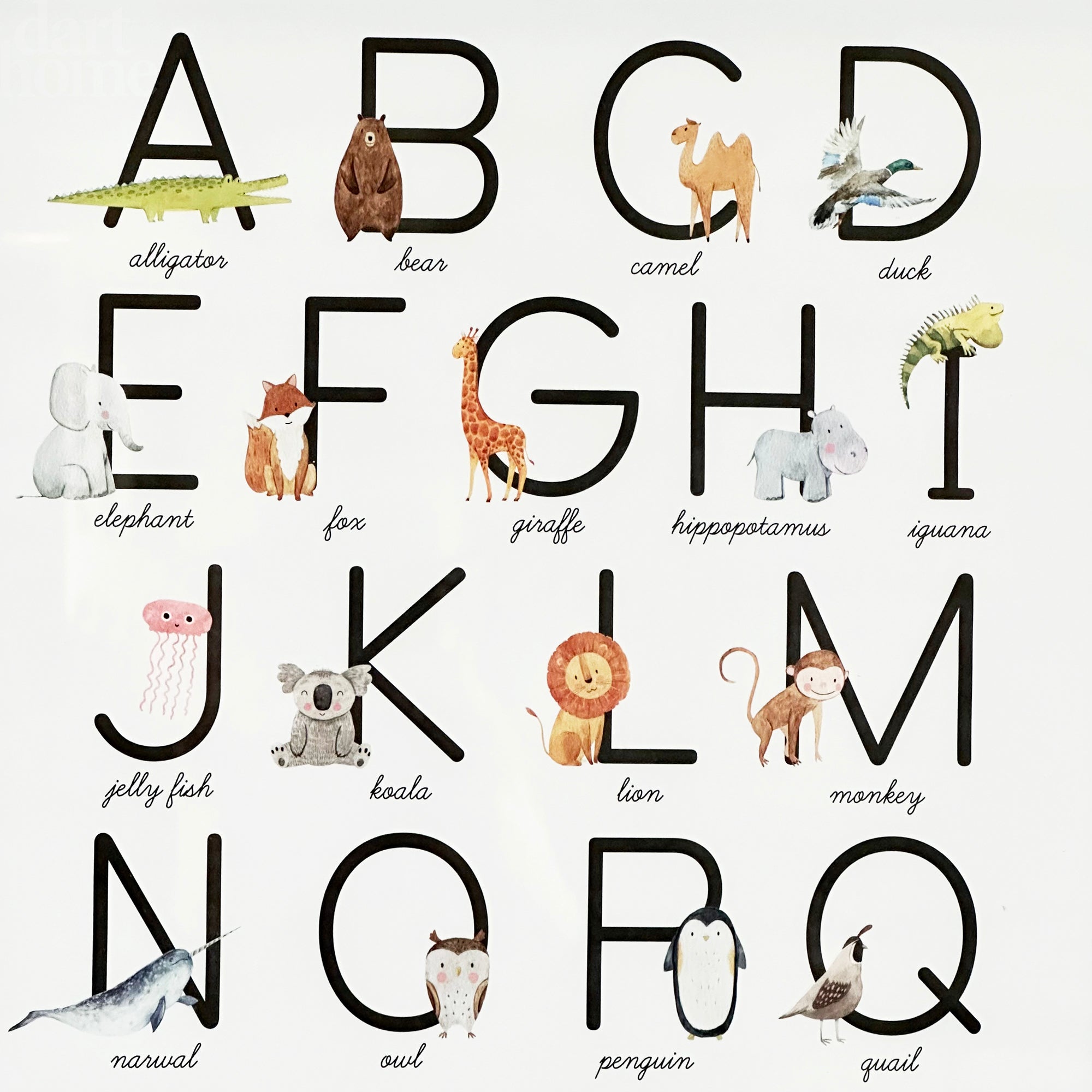 Animal Alphabet Learning Framed Print
