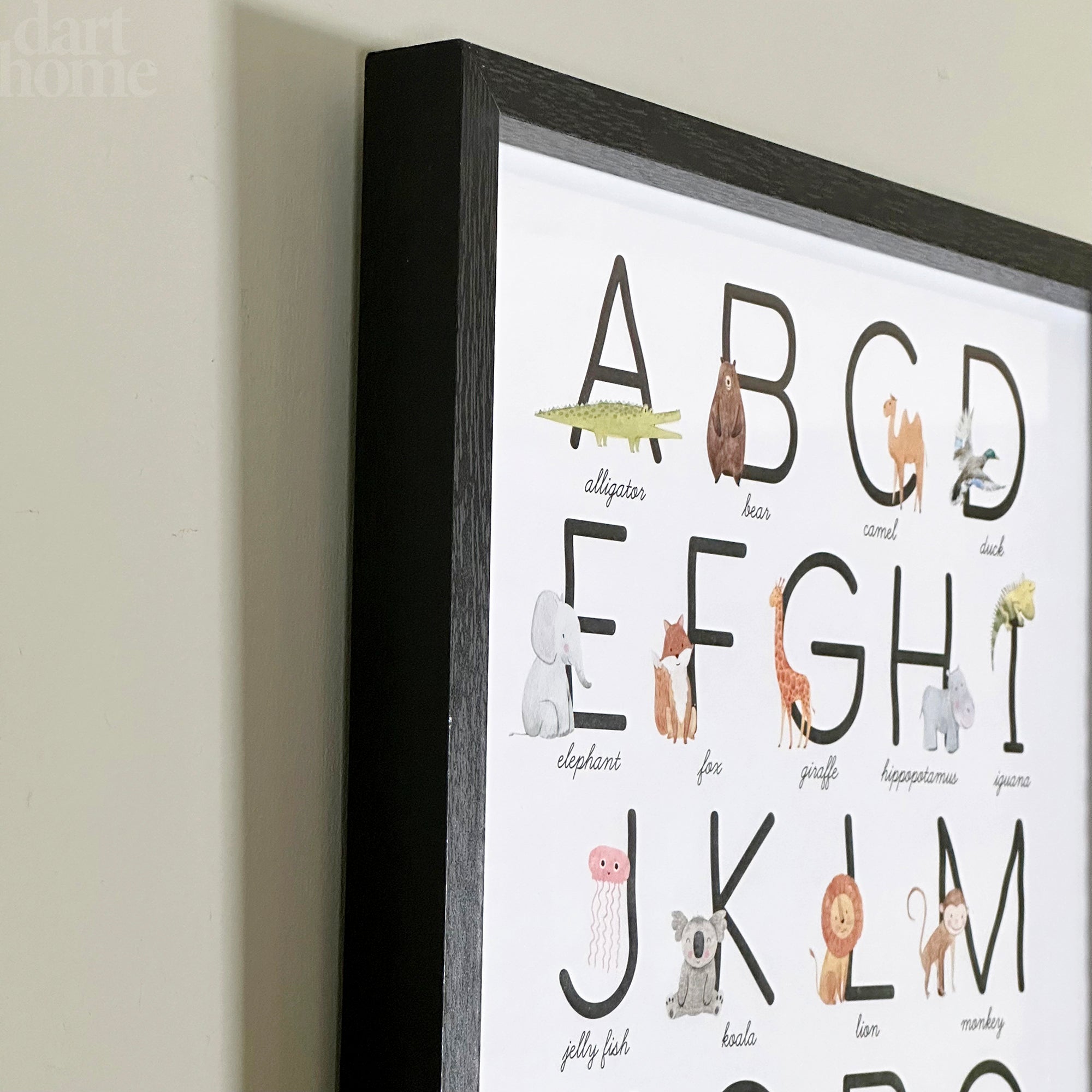 Animal Alphabet Learning Framed Print