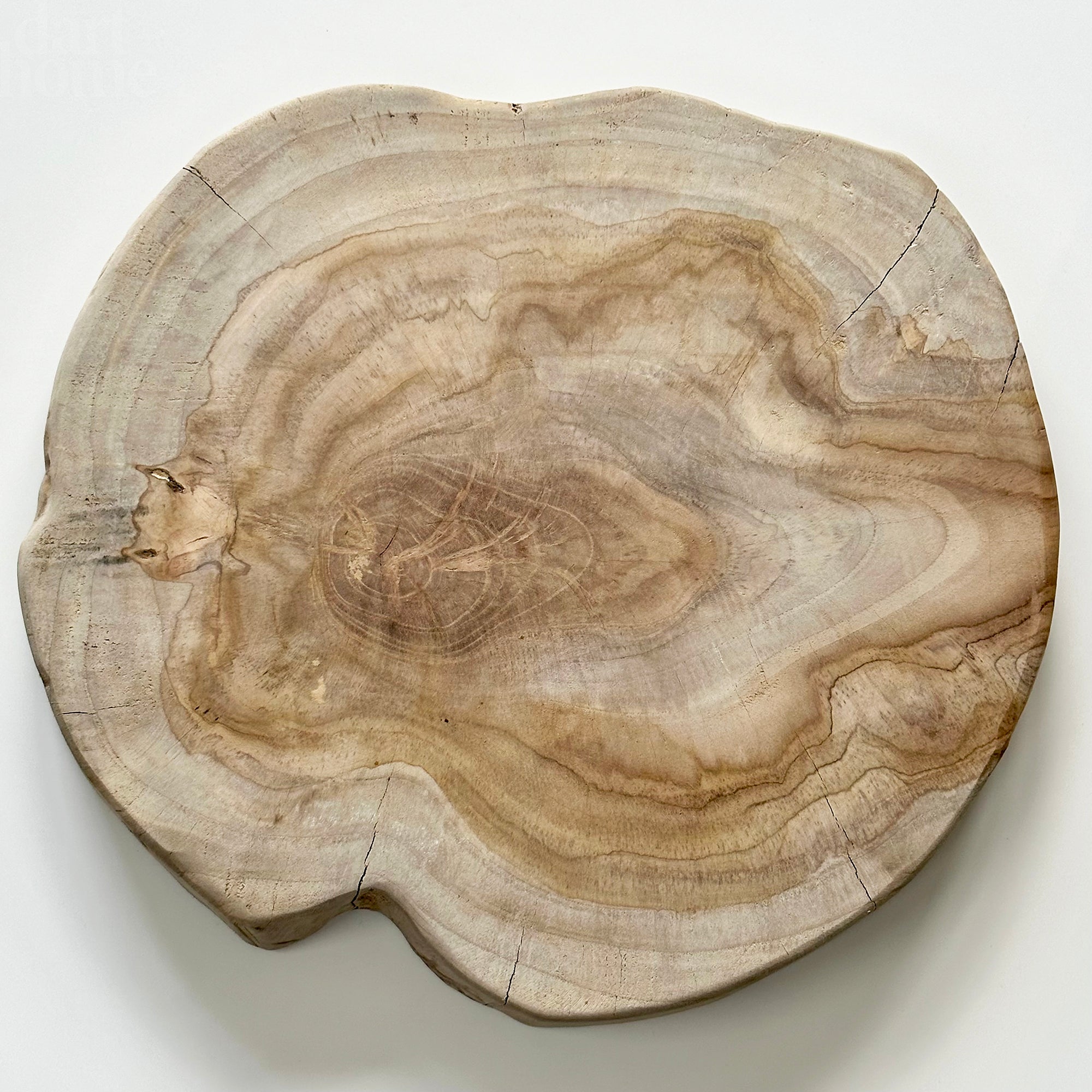 Teak Root Mushroom Serving Board