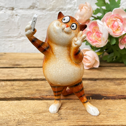 Ginger Fat Selfie Cat Ornament