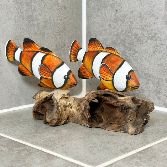 Clownfisch auf Treibholzkorallenskulptur