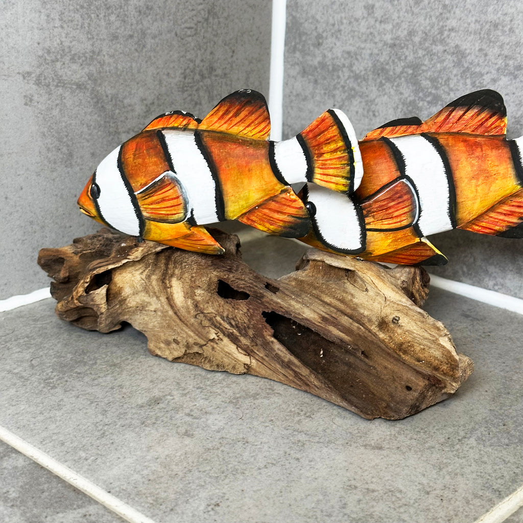 Clownfisch auf Treibholzkorallenskulptur