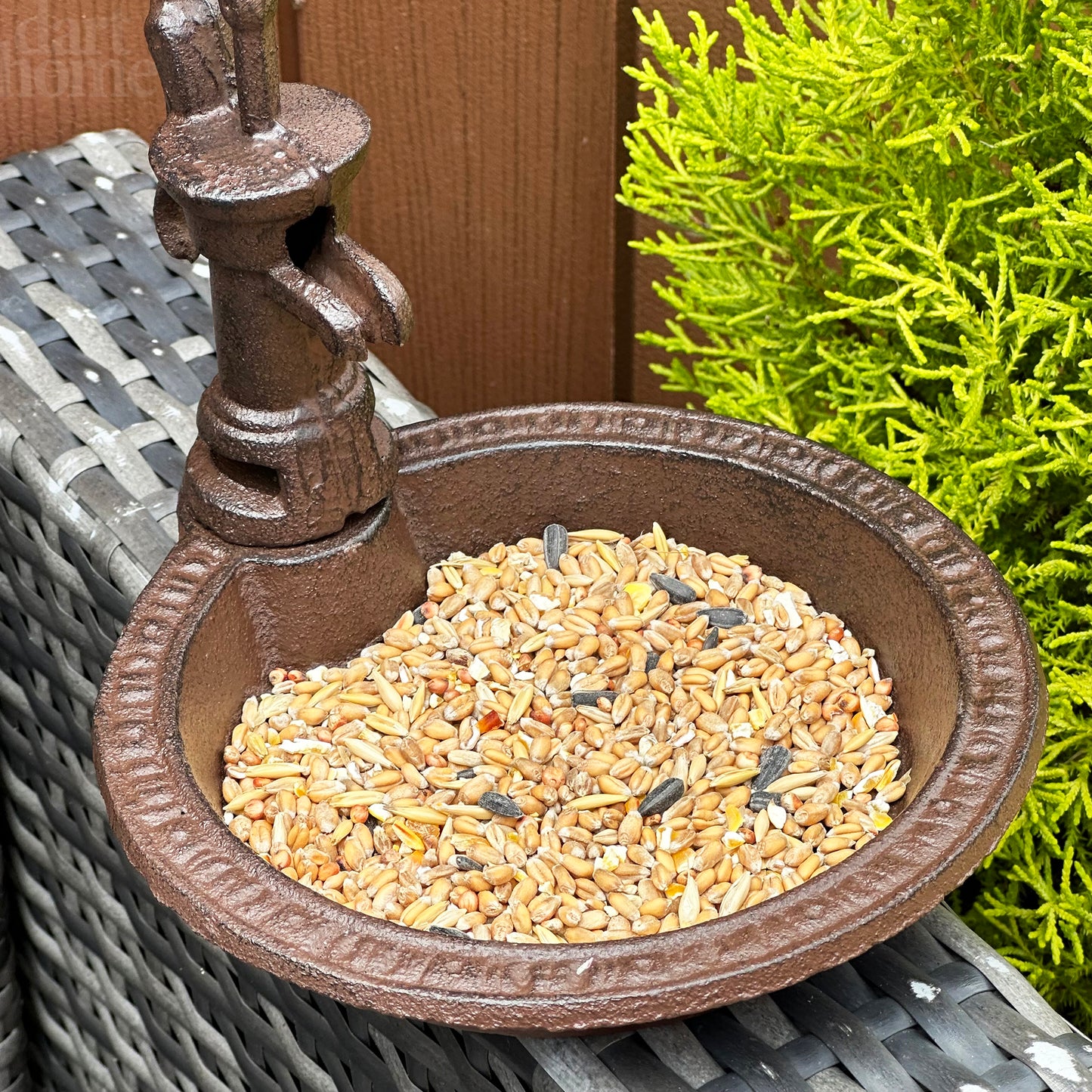 Water Pump Bird Feeder