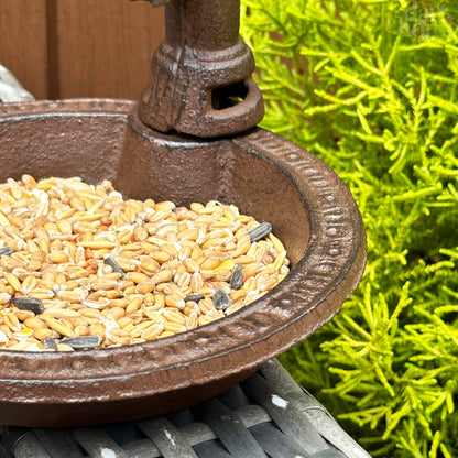 Water Pump Bird Feeder