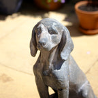 Antique Stone Grey Sitting Hound Garden Statue