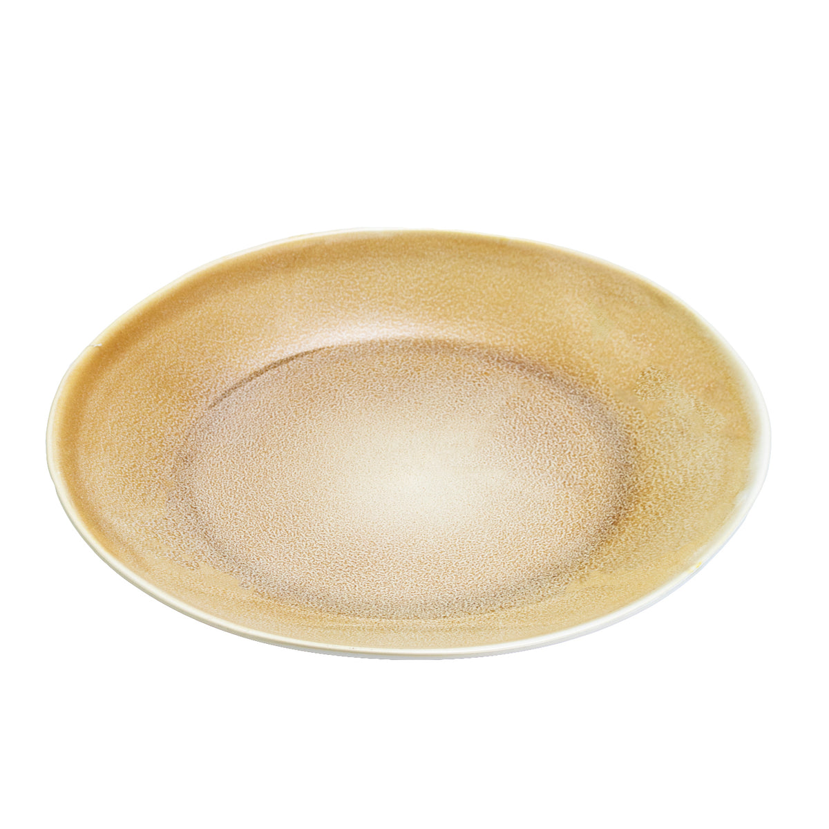 Set Of 4 Beige Reactive Dinner Plates