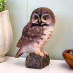 Realistic Tawny Owl Ornament On Log