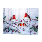 Christmas Robins Toughened Glass Worktop Saver