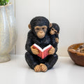 Monkey & Baby Reading Book Ornament