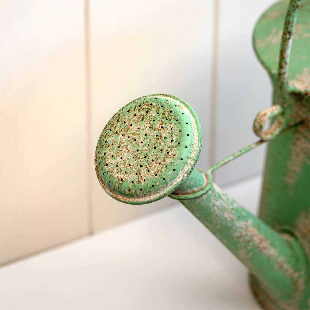 Vintage Green Watering Can Planter