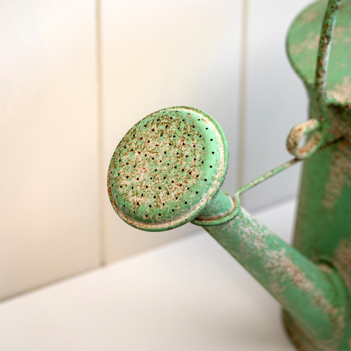Vintage Green Watering Can Planter