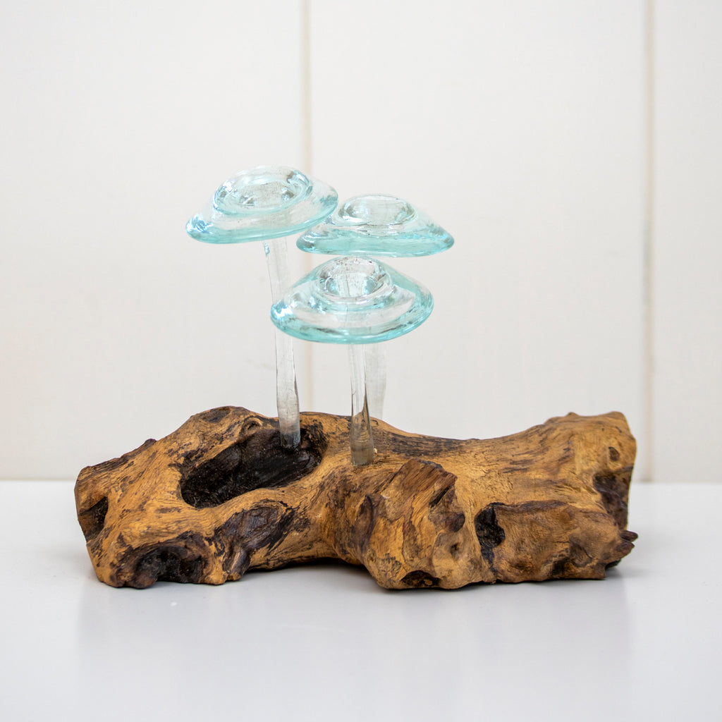Molten Glass Mushrooms On Teak Root Sculpture