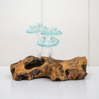 Molten Glass Mushrooms On Teak Root Sculpture