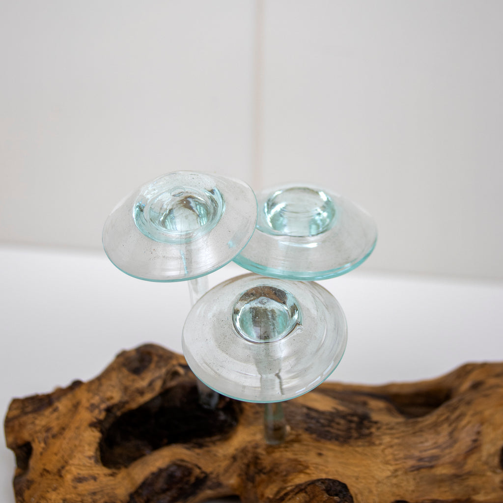 Molten Glass Mushrooms On Teak Root Sculpture