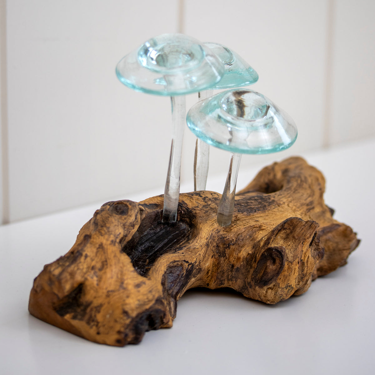 Molten Glass Mushrooms On Teak Root Sculpture