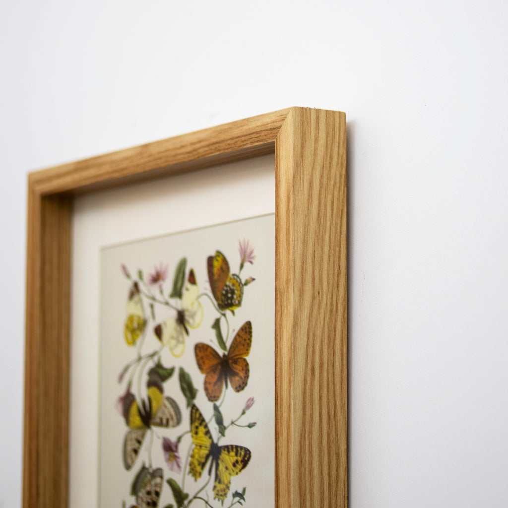 Set of 3 Butterfly Botanical Framed Wall Prints