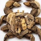 Teak Root Crab Wall Sculpture