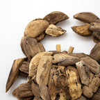 Teak Root Crab Wall Sculpture