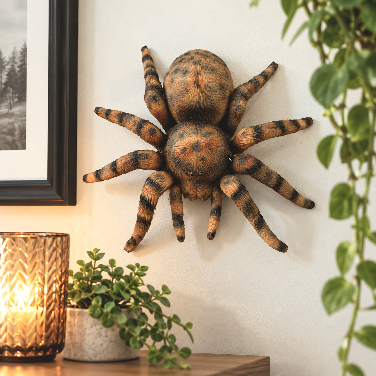Black & Brown Spider Wall Decoration