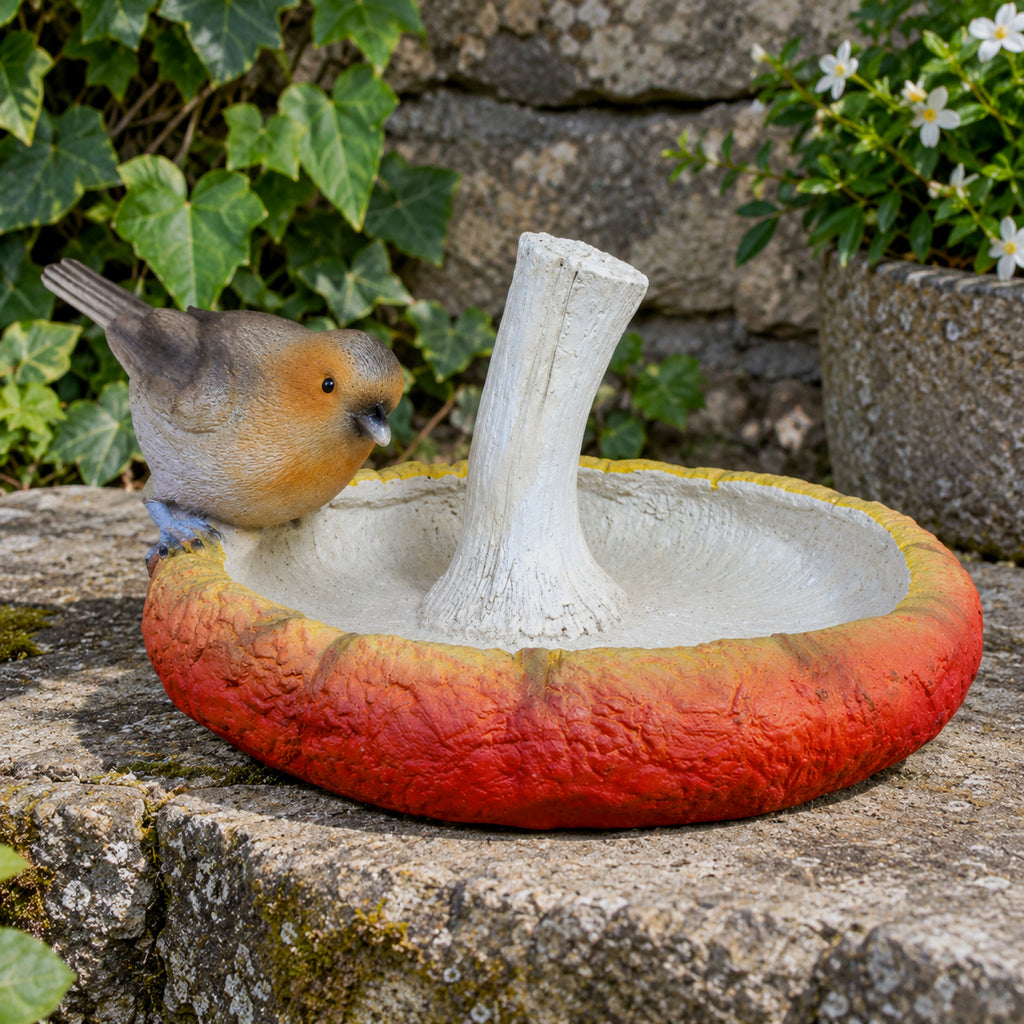 Robin on Mushroom Garden Bird Feeder