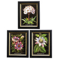 Set Of 3 Botanical Florals Framed Print