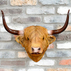 Large Brown Highland Cow Head Wall Decor