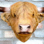 Large Brown Highland Cow Head Wall Decor