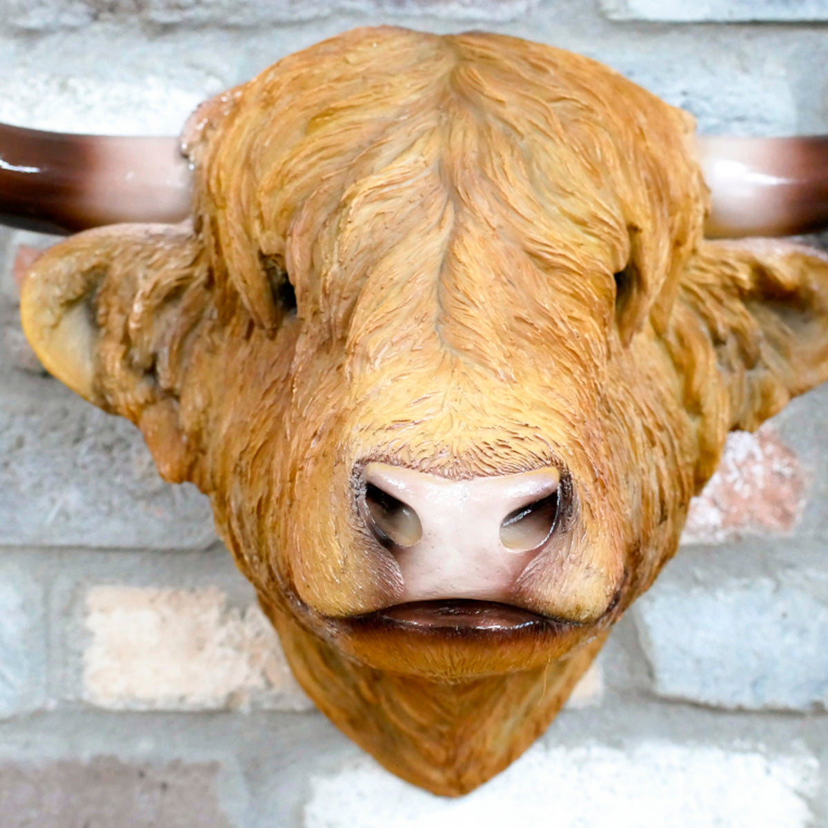 Large Brown Highland Cow Head Wall Decor
