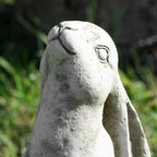 Heavy Stone Moongazing Hare Statue