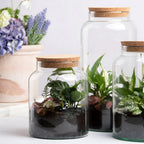 Half Open Terrarium Bottle With Cork Lid