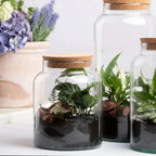 Half Open Terrarium Bottle With Cork Lid