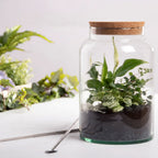 Half Open Terrarium Bottle With Cork Lid