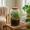 Half Open Terrarium Bottle With Cork Lid
