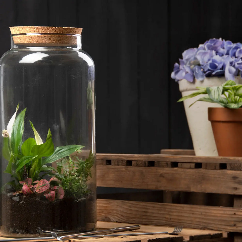 Half Open Terrarium Bottle With Cork Lid