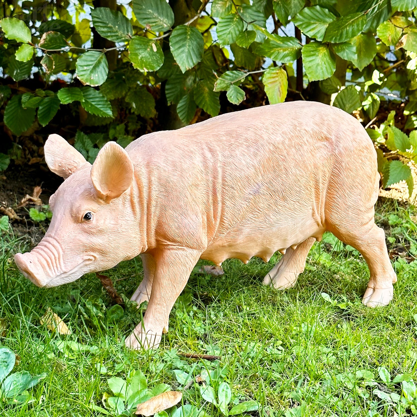 Rashy, das Schwein, Gartendekoration