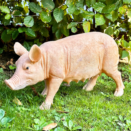 Rashy The Pig Garden Ornament