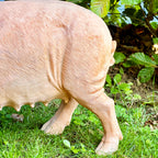 Rashy The Pig Garden Ornament