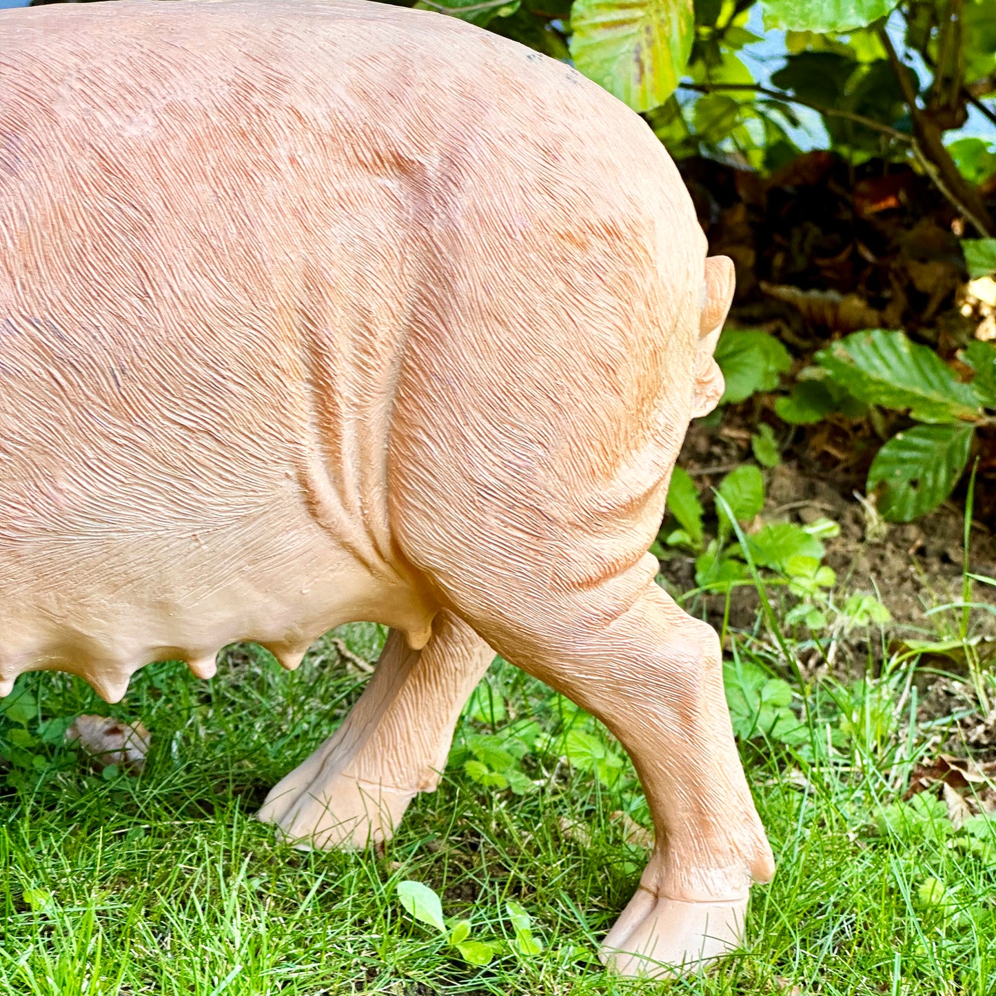 Rashy, das Schwein, Gartendekoration