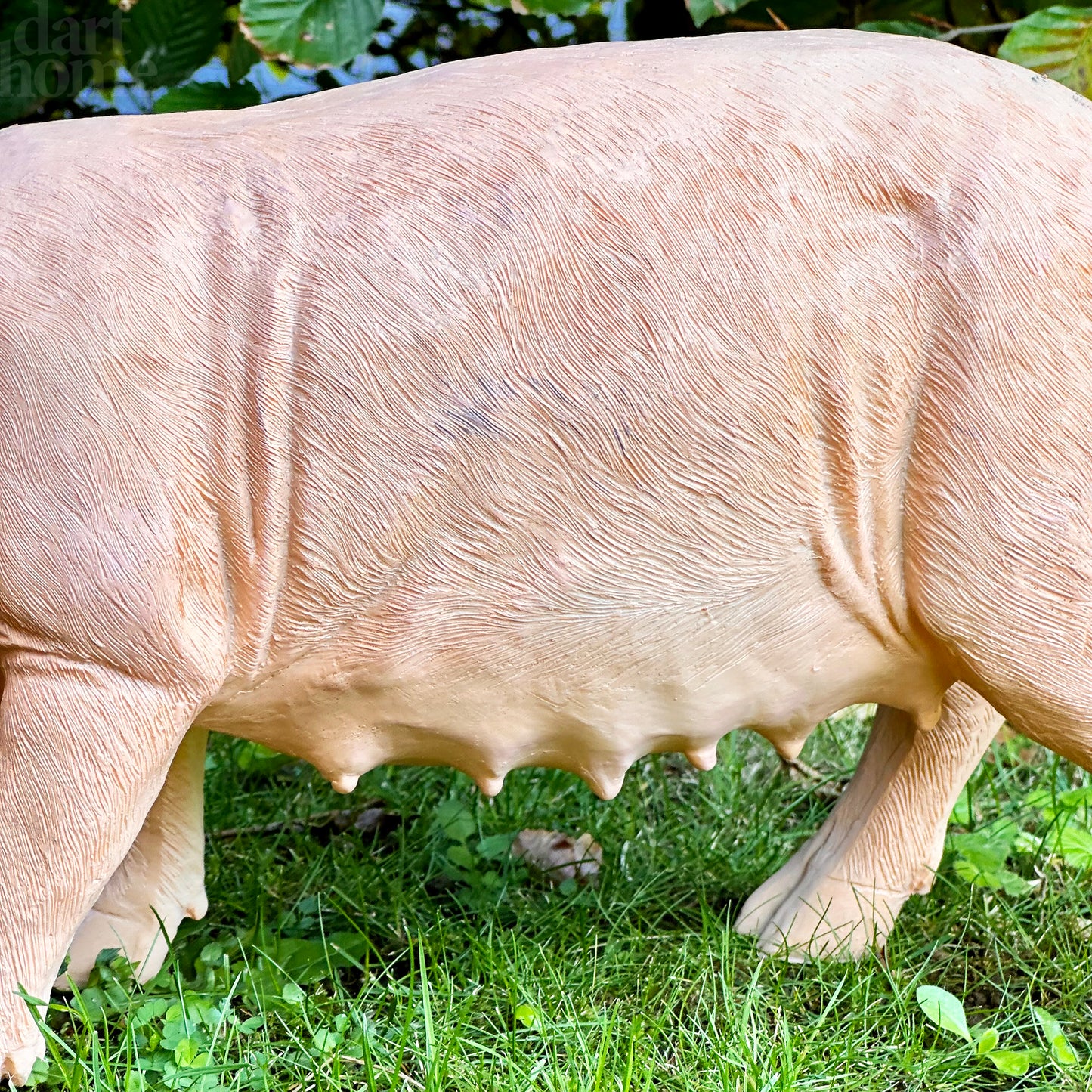 Rashy, das Schwein, Gartendekoration