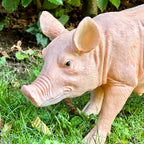 Rashy The Pig Garden Ornament
