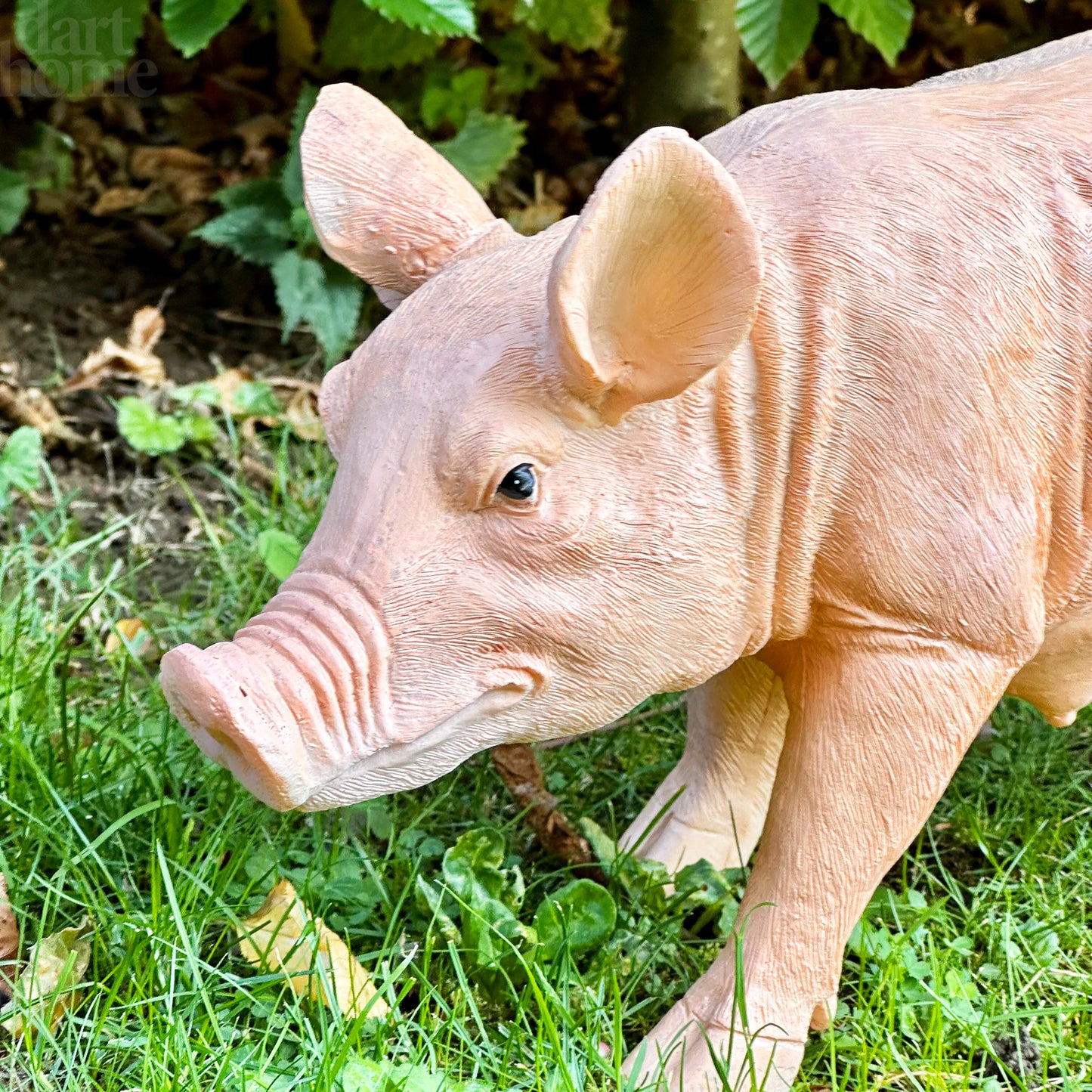 Rashy, das Schwein, Gartendekoration