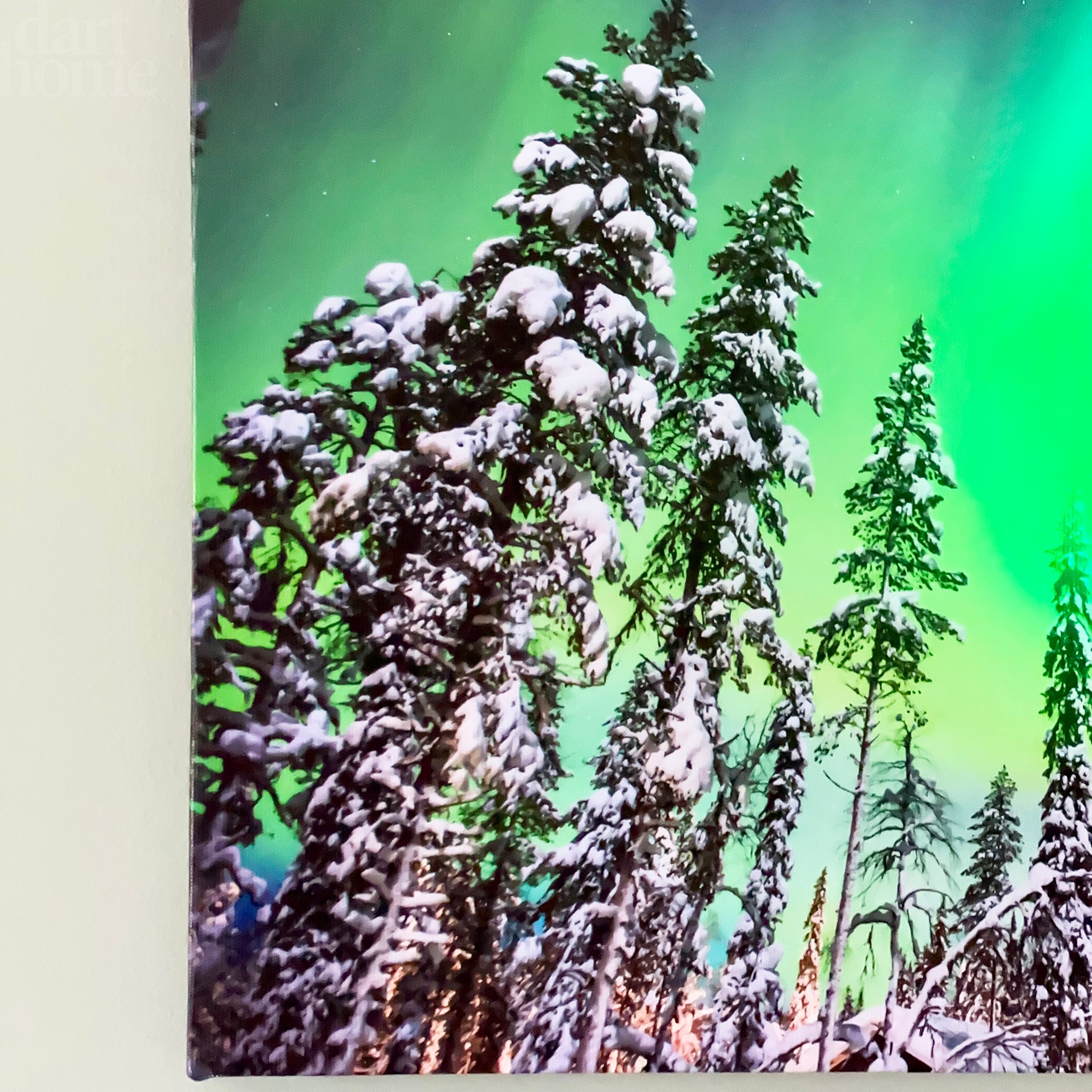 Christmas Forest Northern Lights LED Canvas Art