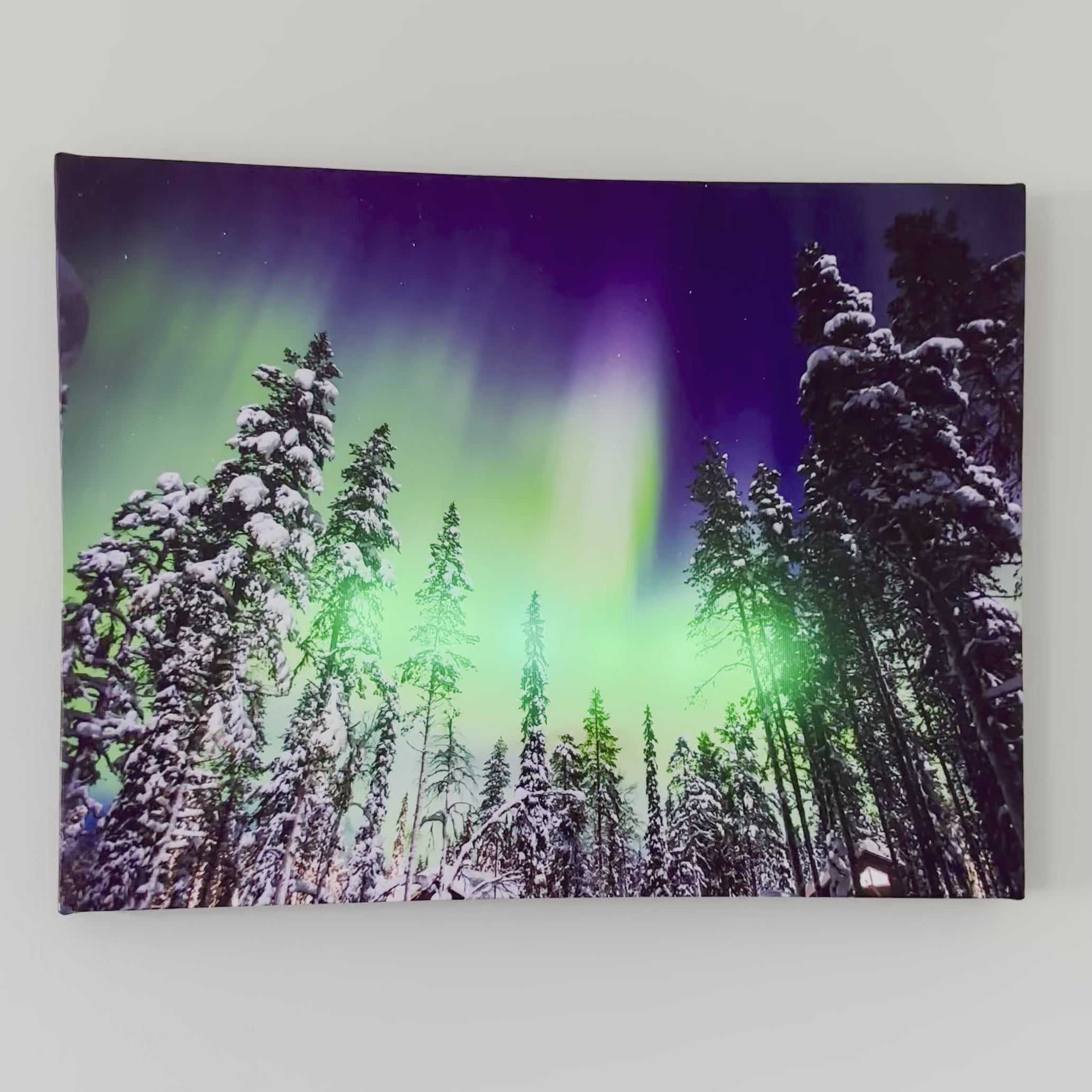 Christmas Forest Northern Lights LED Canvas Art