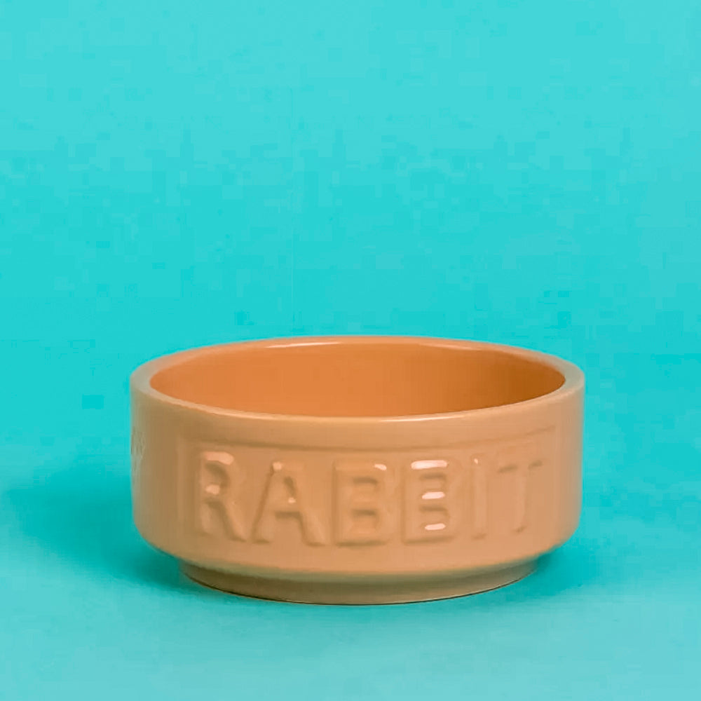 Set Of 2 Stoneware Embossed Rabbit Bowls