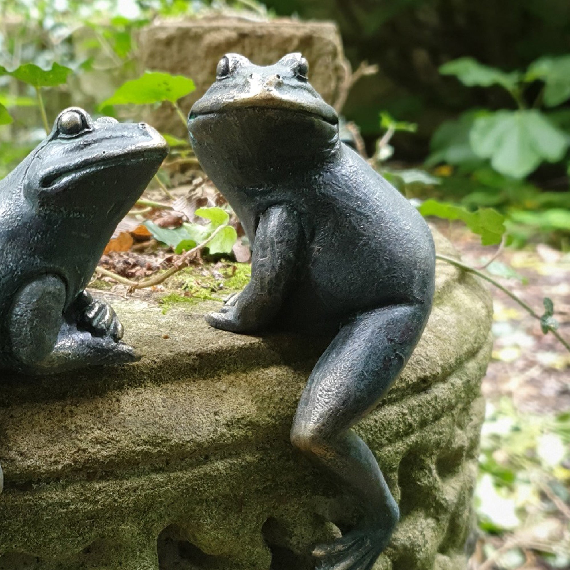 Set Of 2 Bronze Climbing Frogs