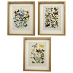 Set of 3 Butterfly Botanical Framed Wall Prints