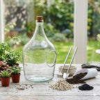 DIY 3 Litre Open Bottle Terrarium Set